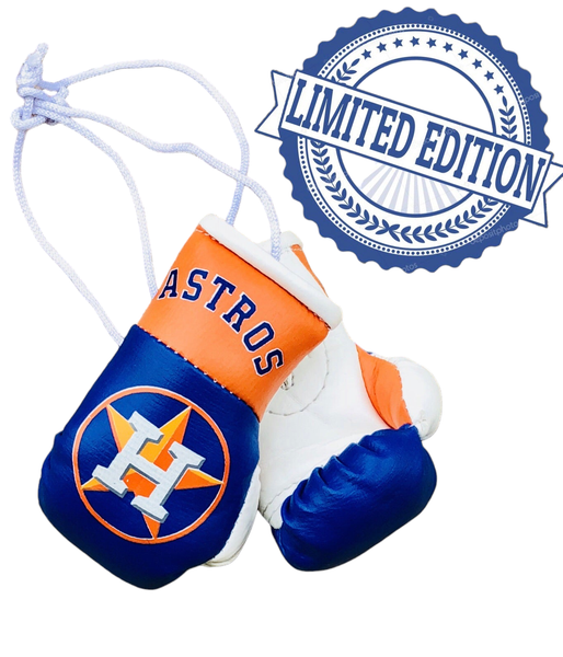 Houston Astros Mini Gloves
