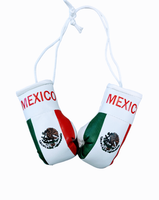 Mexico Mini Boxing Gloves