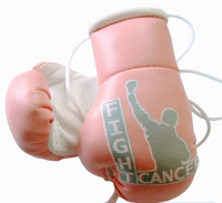 Fight Cancer Mini Boxing Gloves