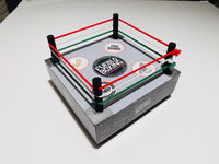 Pueblo Boxing Mini Ring