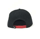 Team Canelo SnapBack