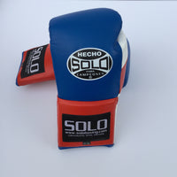 Blue Pro Fight Gloves
